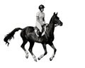 Athlete riding a horse at a gallop, show jumping, realistic Royalty Free Stock Photo
